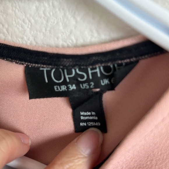 Topshop Dusky Pink Short Skater Sleeveless Black Mesh Inset Stripe Dress - Picture 10 of 11